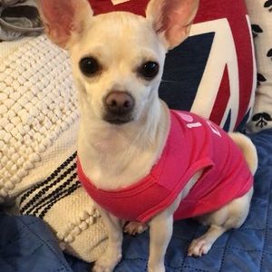 Meet your Posher, Elaine